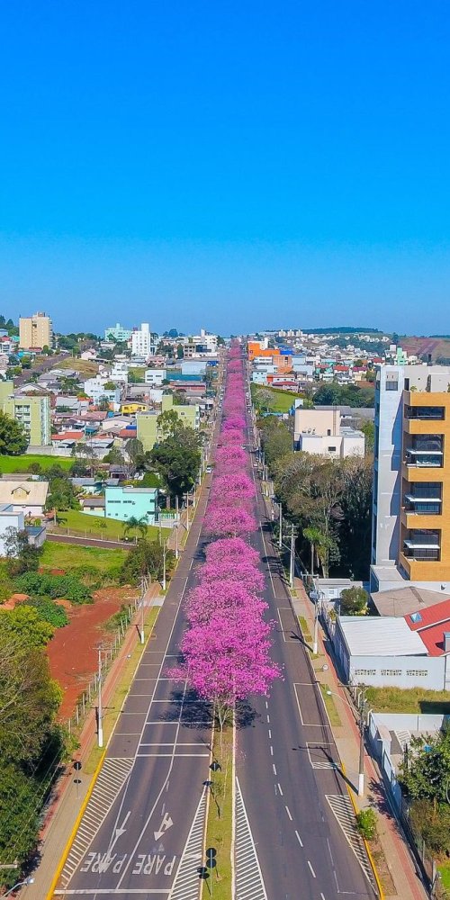 Alternative accommodation in Chapecó
