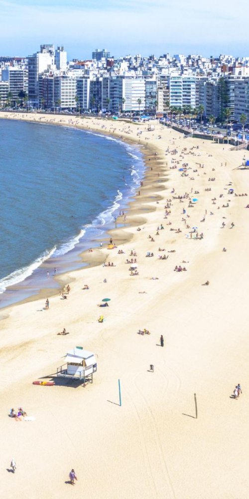 Montevideo apartment interior