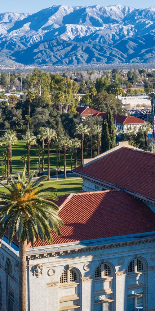 Cozy accommodation alternative in Redlands