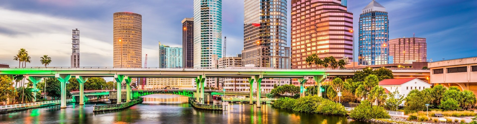 Tampa city view
