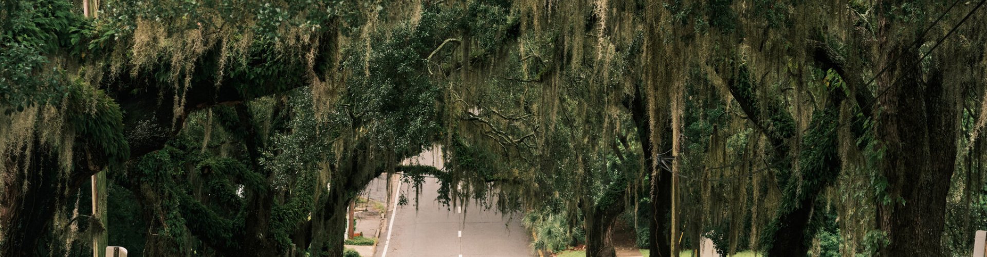 Scenic view of Tallahassee skyline
