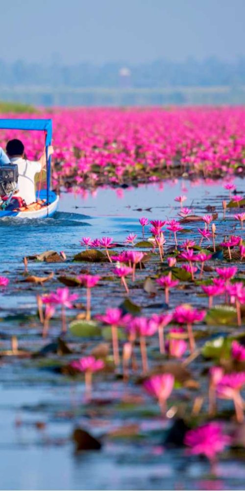 Accommodation alternative in Udon Thani