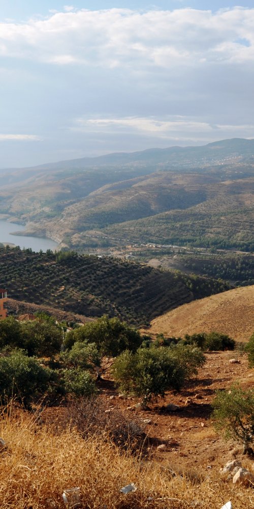 Historic Downtown Mount Gilead